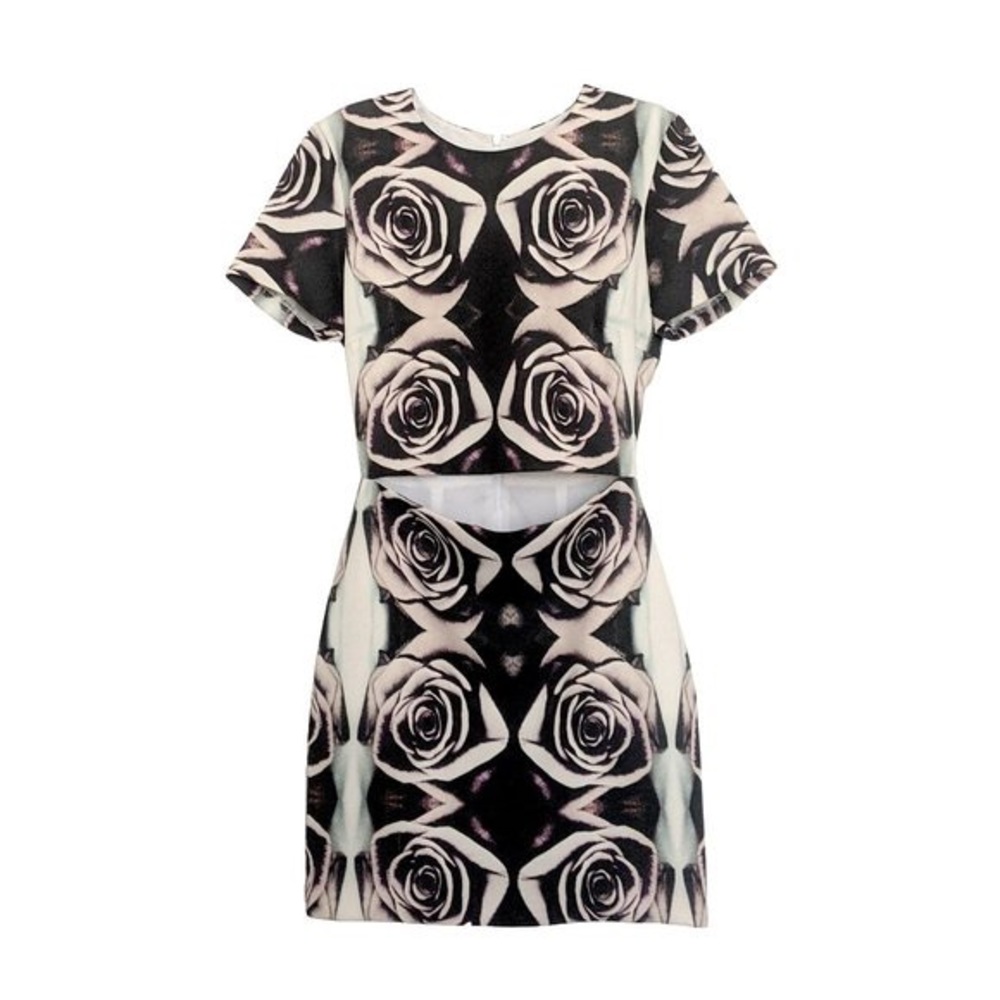 Bec & Bridge City of Roses Tee Dress.